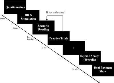 Causal Role of the Right Dorsolateral Prefrontal Cortex in Organizational Fairness Perception: Evidence From a Transcranial Direct Current Stimulation Study